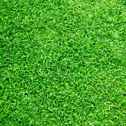 Kunstgras schoonhouden: de do’s en don’ts