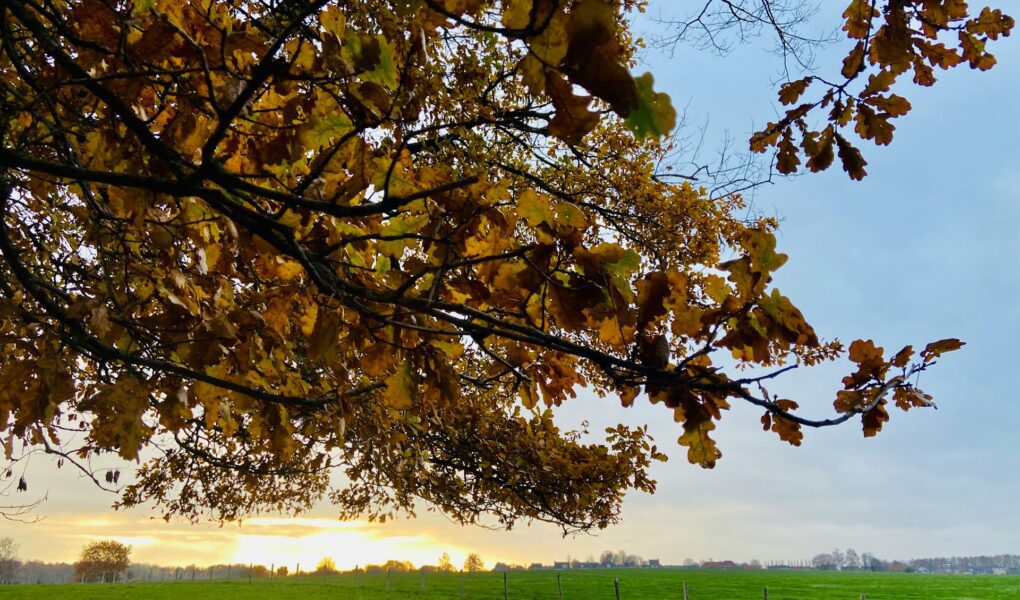 De beste plek voor een weekendje weg in Midden Limburg