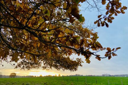 De beste plek voor een weekendje weg in Midden Limburg